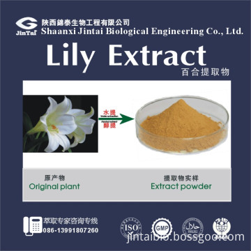 wild lily bulb/bai he extract